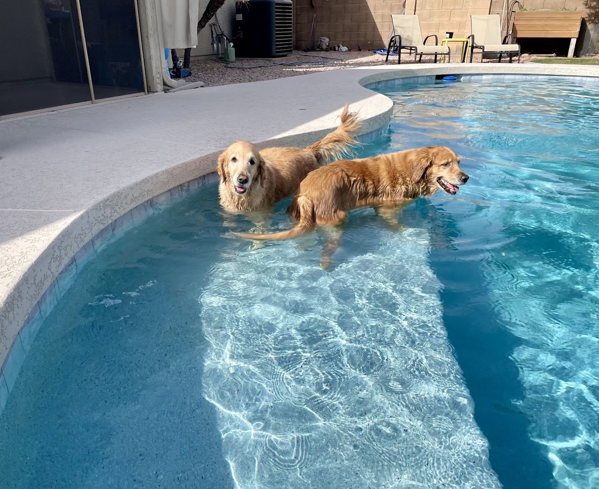 Standard Pools project